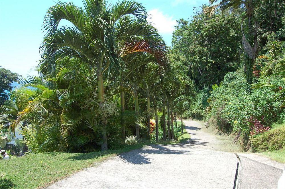 Sailfish Beach Villas Anse a La Mouche Zewnętrze zdjęcie
